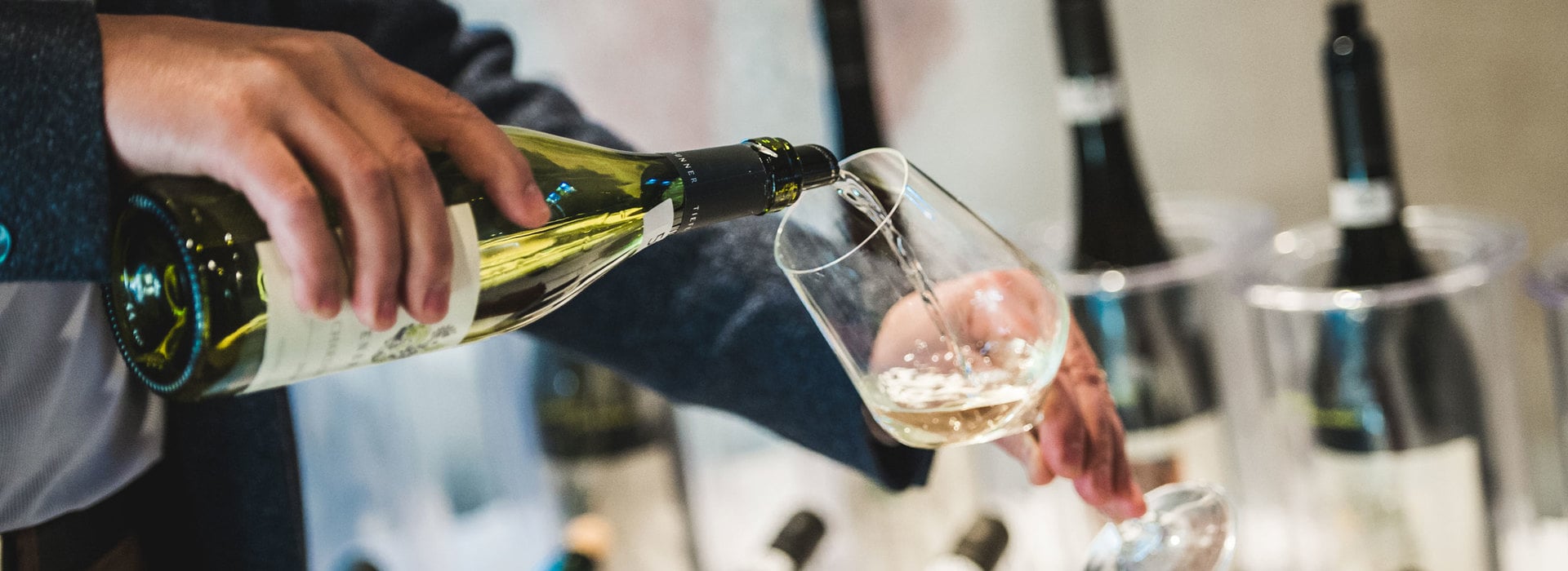 Diventare un esperto di vini Alto Adige