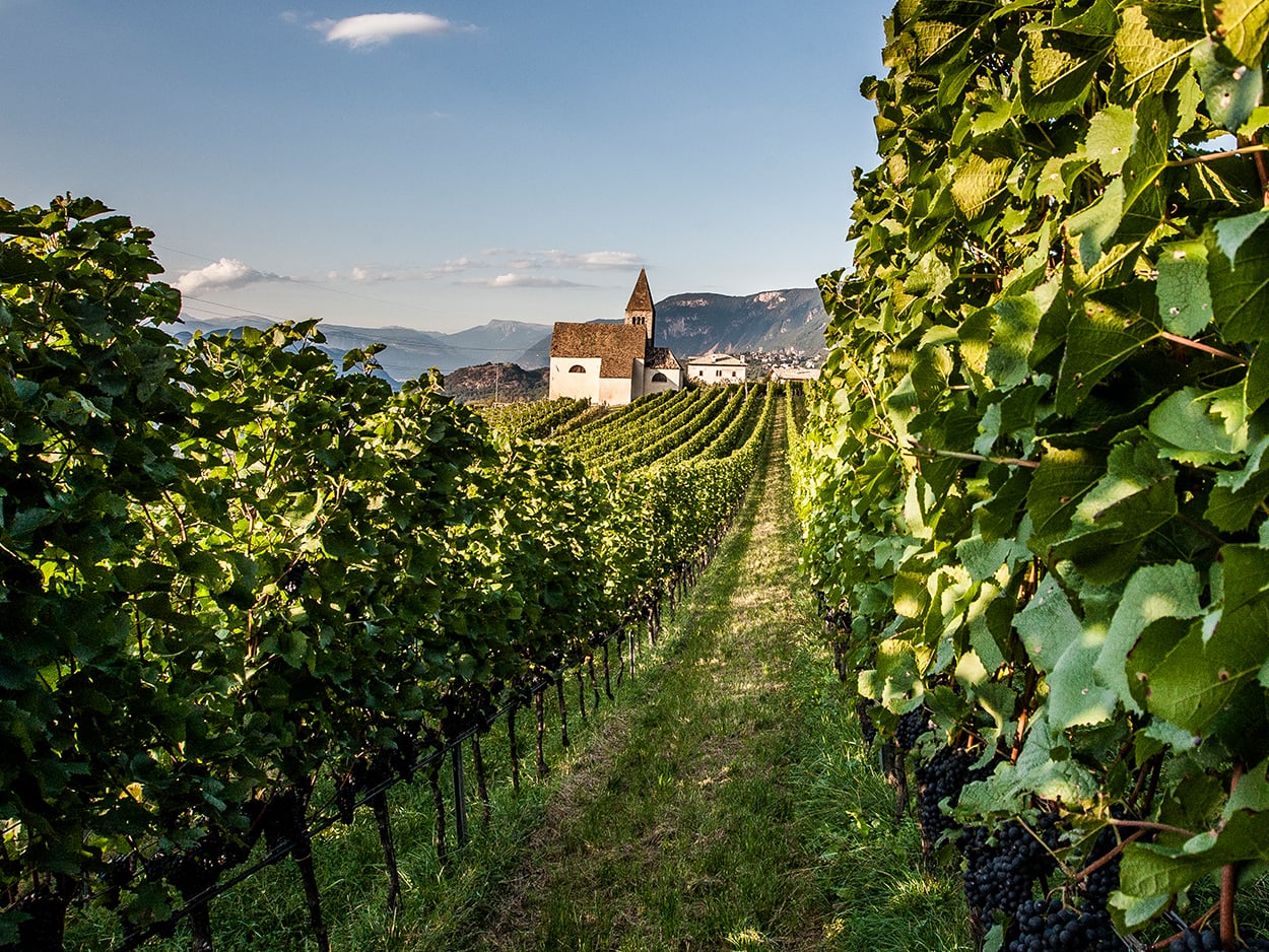 La zona di produzione DOC Alto Adige