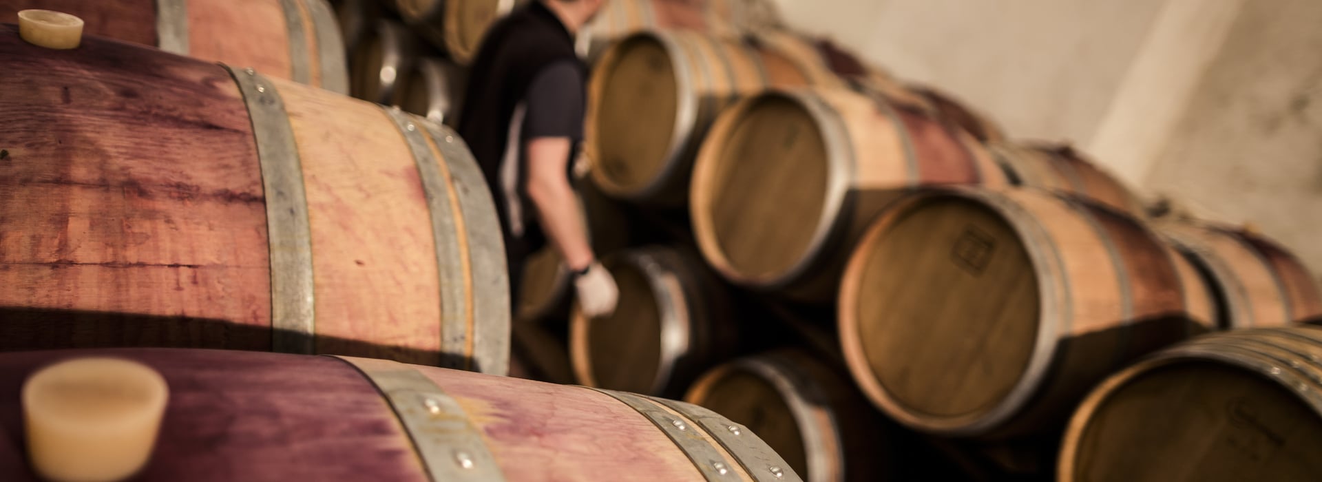 Annate vino Alto Adige