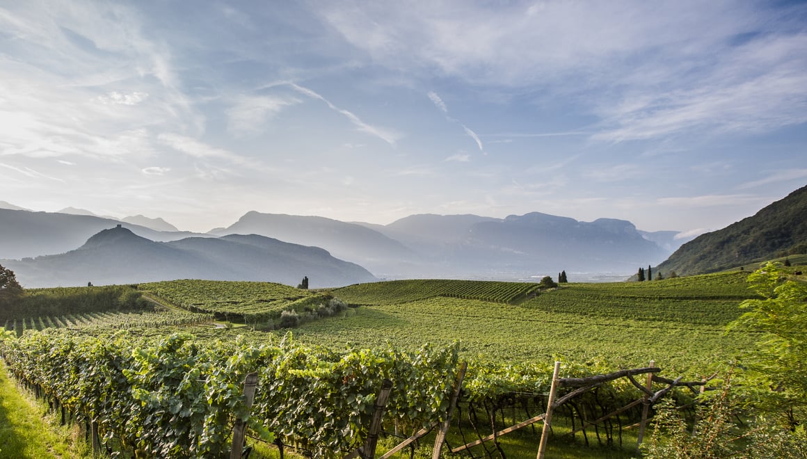 Un piacere a origine controllata Alto Adige