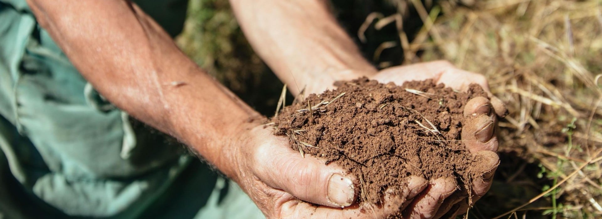 Terra e geologia Alto Adige