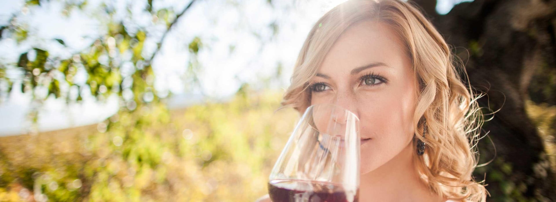 Vivere il vino Alto Adige