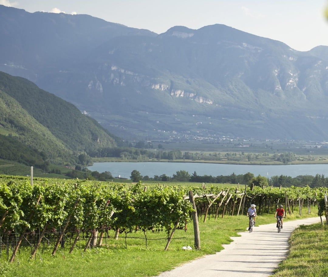 In bicicletta tra i vigneti in Alto Adige