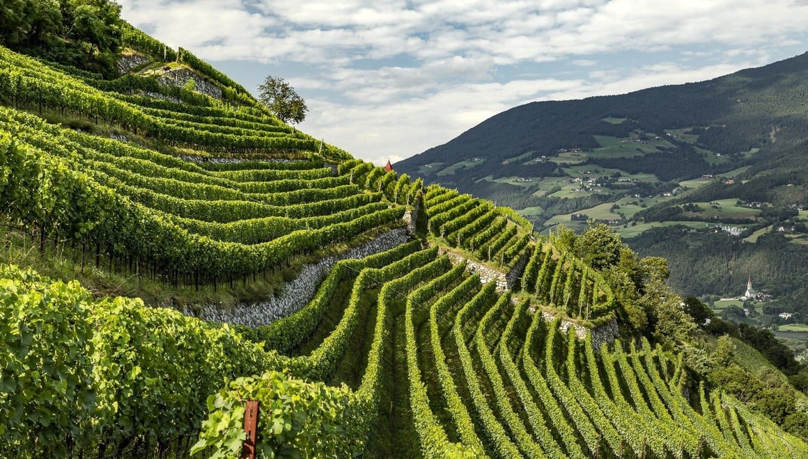 Le roccaforti del vino Alto Adige
