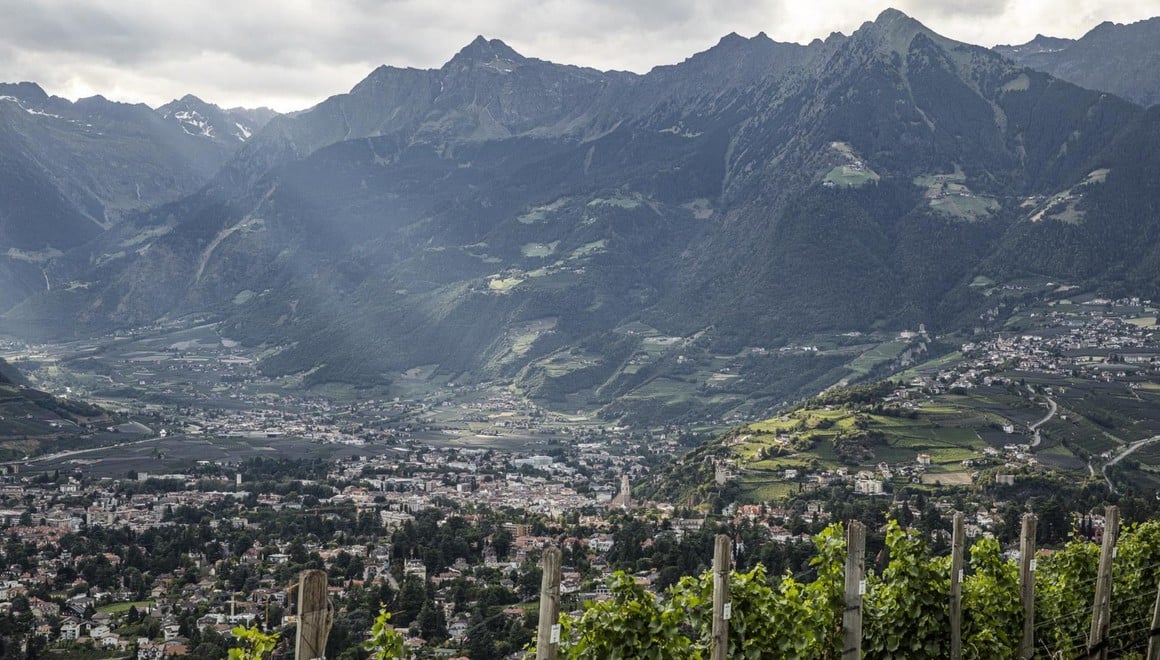 Viticoltura in ambiente urbano Alto Adige