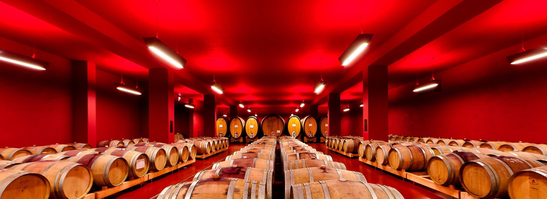 Vino e architettura Alto Adige