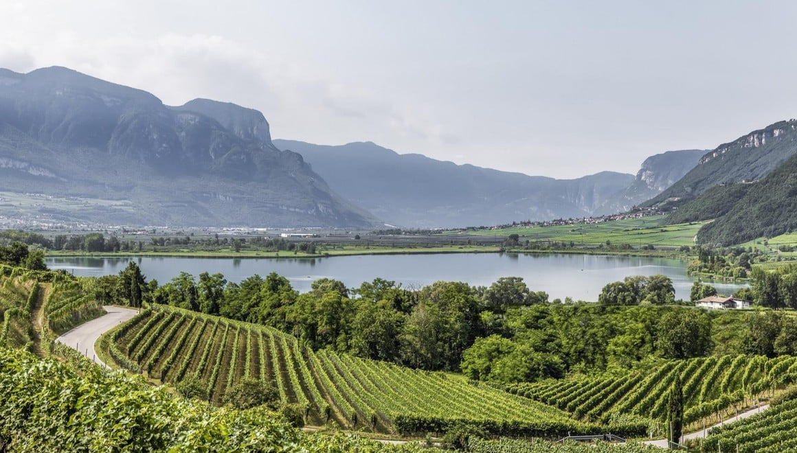 Tranquille passeggiate fra le vigne Alto Adige
