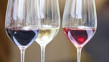 L’annata 2017 Alto Adige