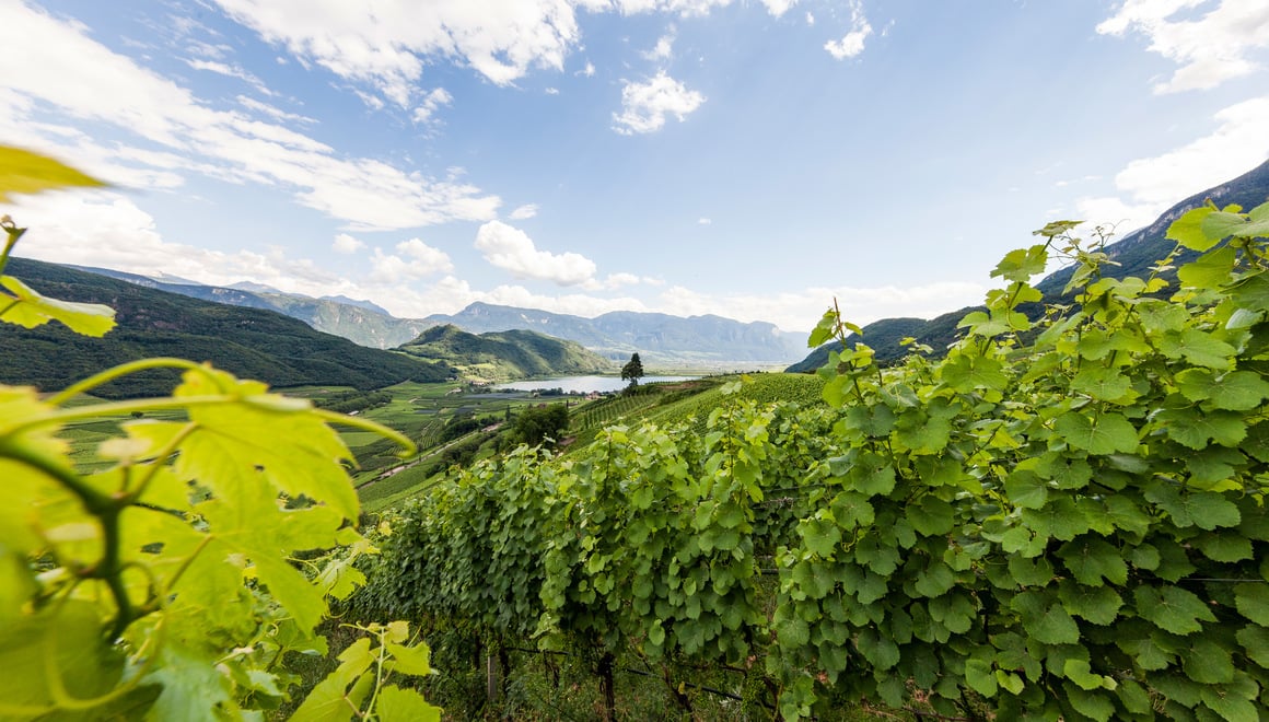 Lago di Caldaro Alto Adige
