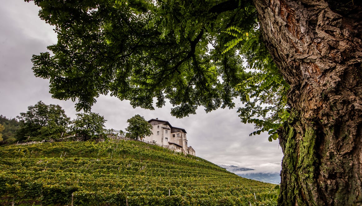 Alto Adige Valle Isarco