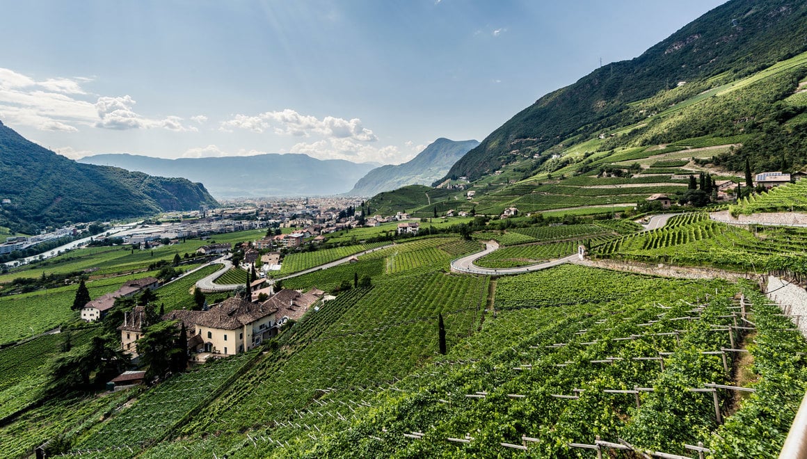 Alto Adige Colli di Bolzano