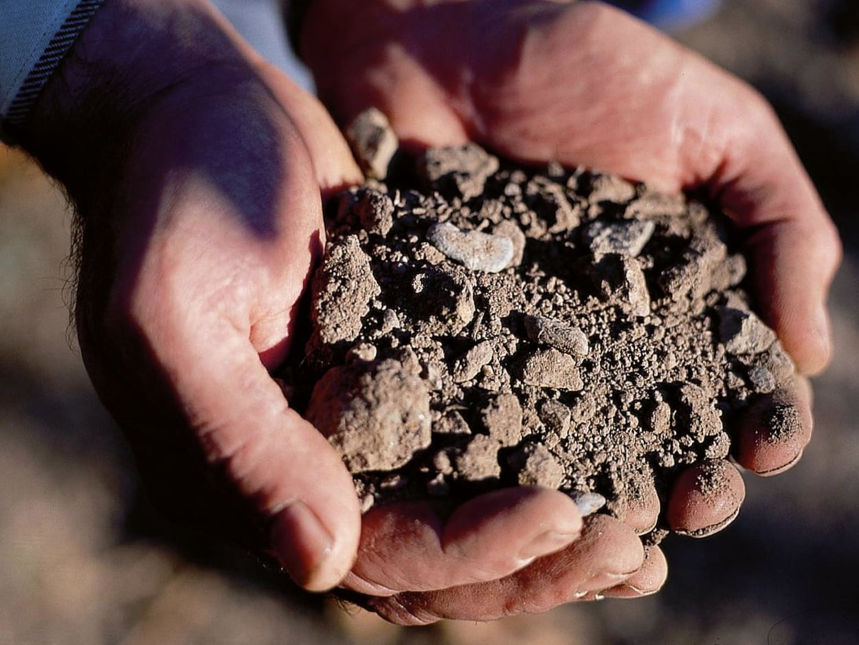 Primo piano di un terreno scuro e ricco di nutrienti in un vigneto dell'Alto Adige