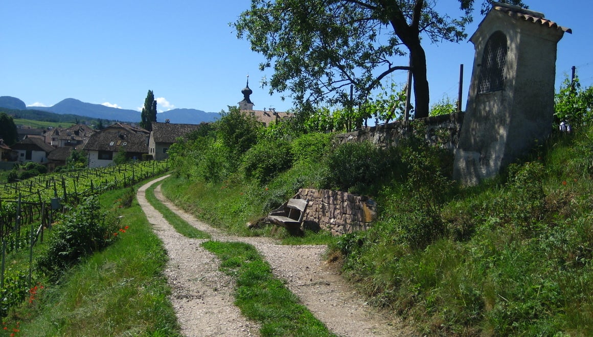 Sentiero didattico natura e vino a Cornaiano Alto Adige