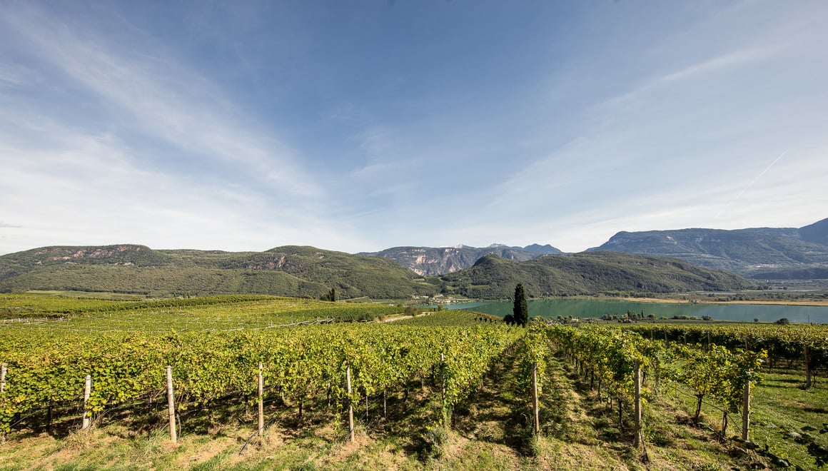 Percorso del vino di Caldaro Alto Adige