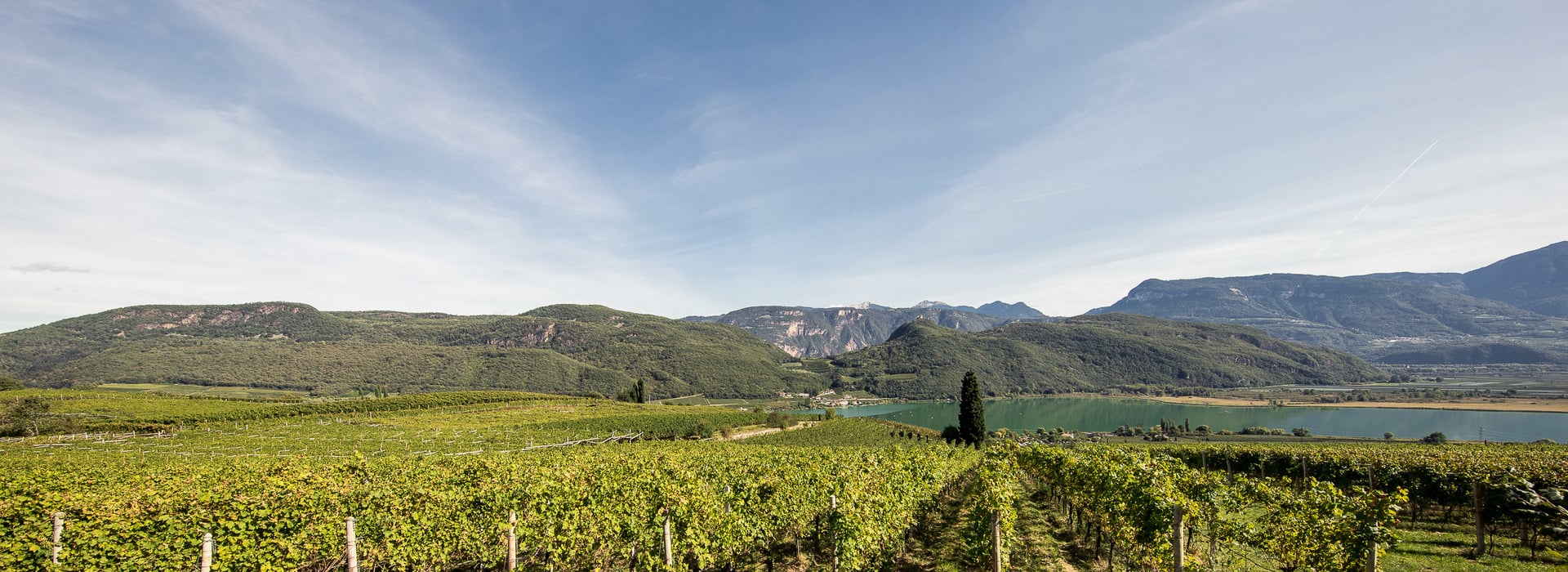 Percorso del vino di Caldaro