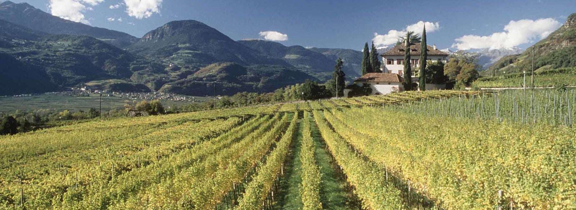 Via del vino di Terlano