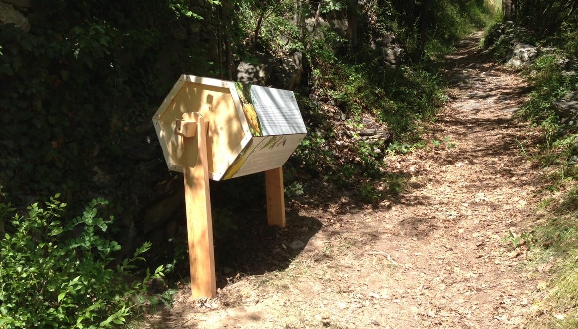 Sentiero del vino di Chiusa Alto Adige