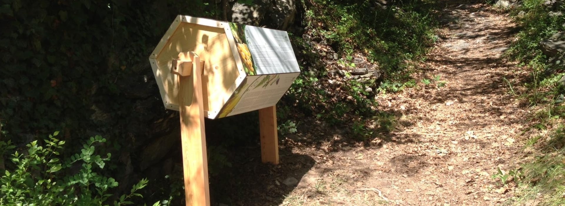 Sentiero del vino di Chiusa