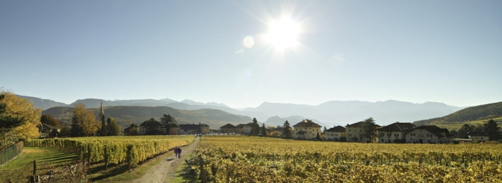 Percorso didattico sul vino Castel Sallegg