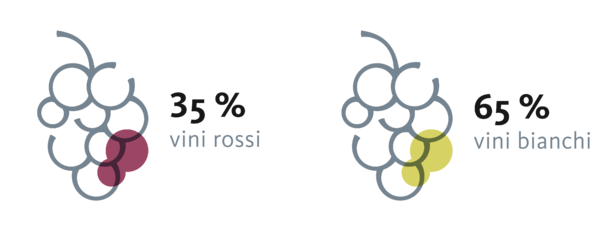 Vini rossi e vini bianchi a confronto Alto Adige