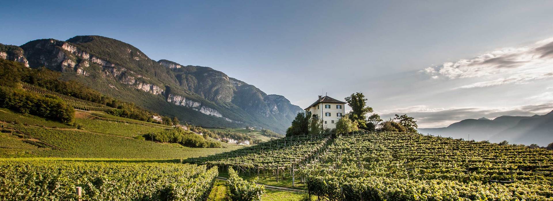 Annata 2017 vino Alto Adige