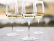 Annata 2017 bicchiere di vino Alto Adige