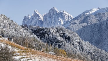 IDM/Vino Alto Adige