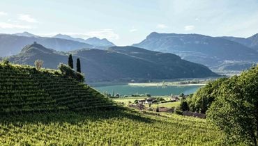 IDM/Vino Alto Adige