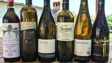 Vini dell´Alto Adige