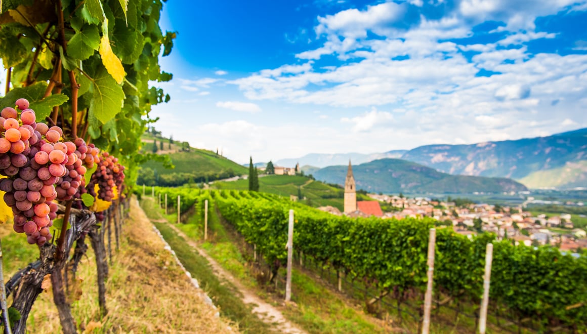 Il sentiero del Gewürztraminer Alto Adige