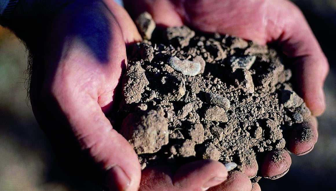 I terreni altoatesini come origine di vini robusti.