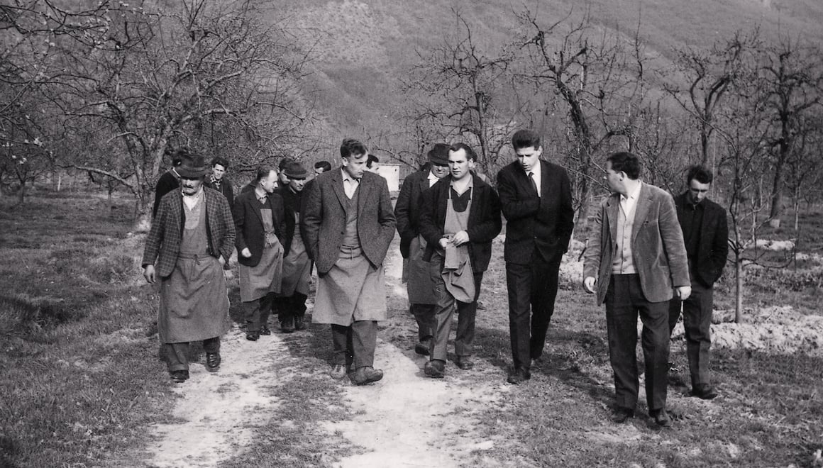 Ispezione del vigneto da parte di vignaioli all'inizio degli anni '60.