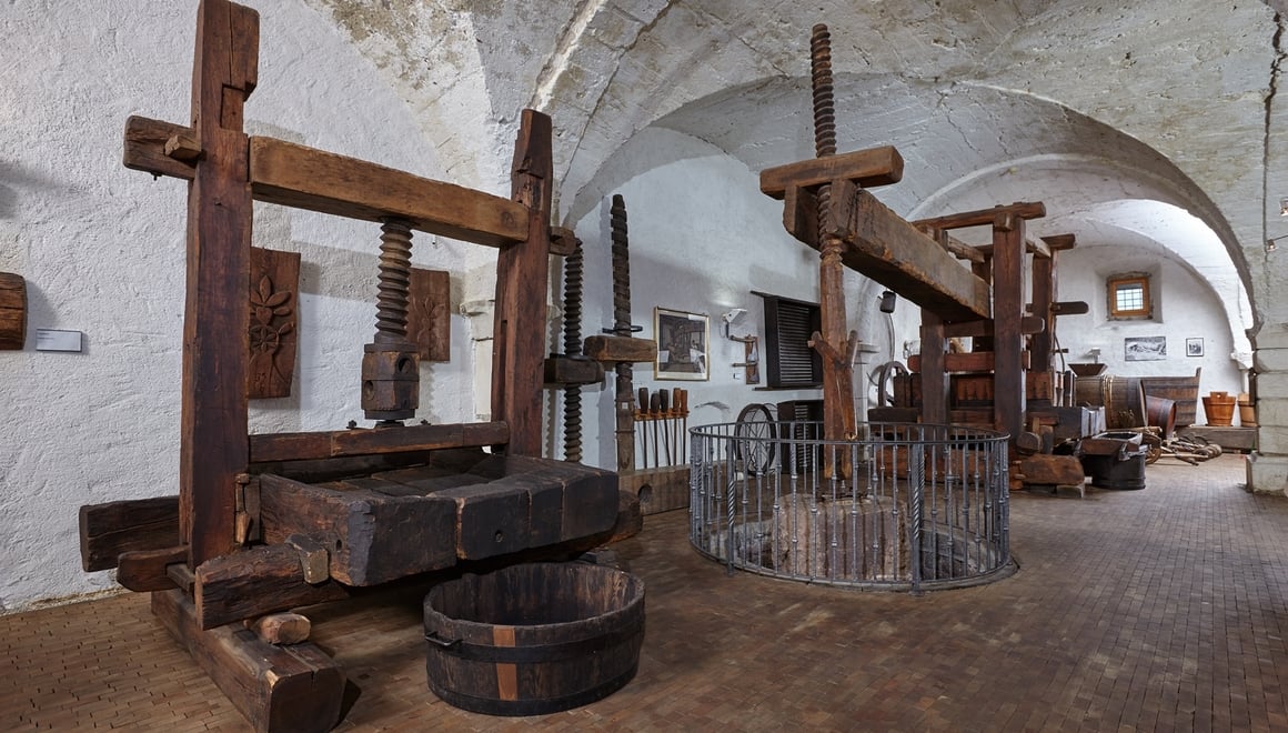 La viticoltura diventa museo