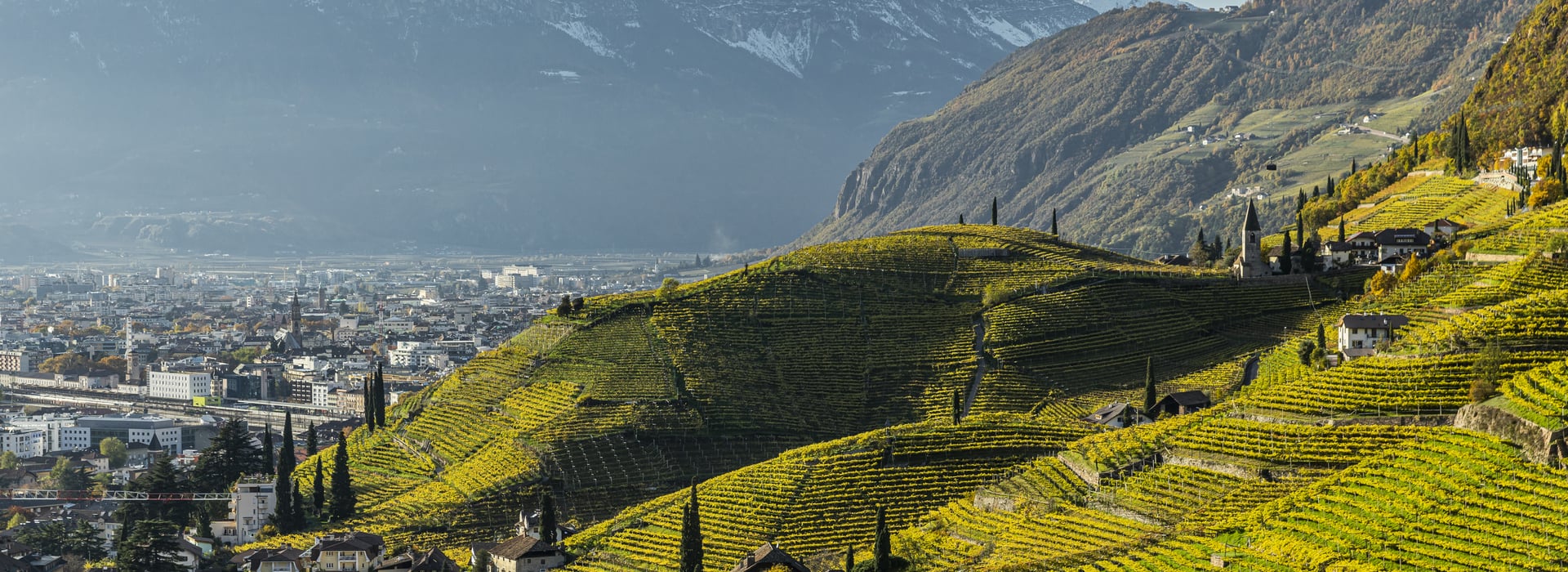 Annata 2019 - Vini Alto Adige
