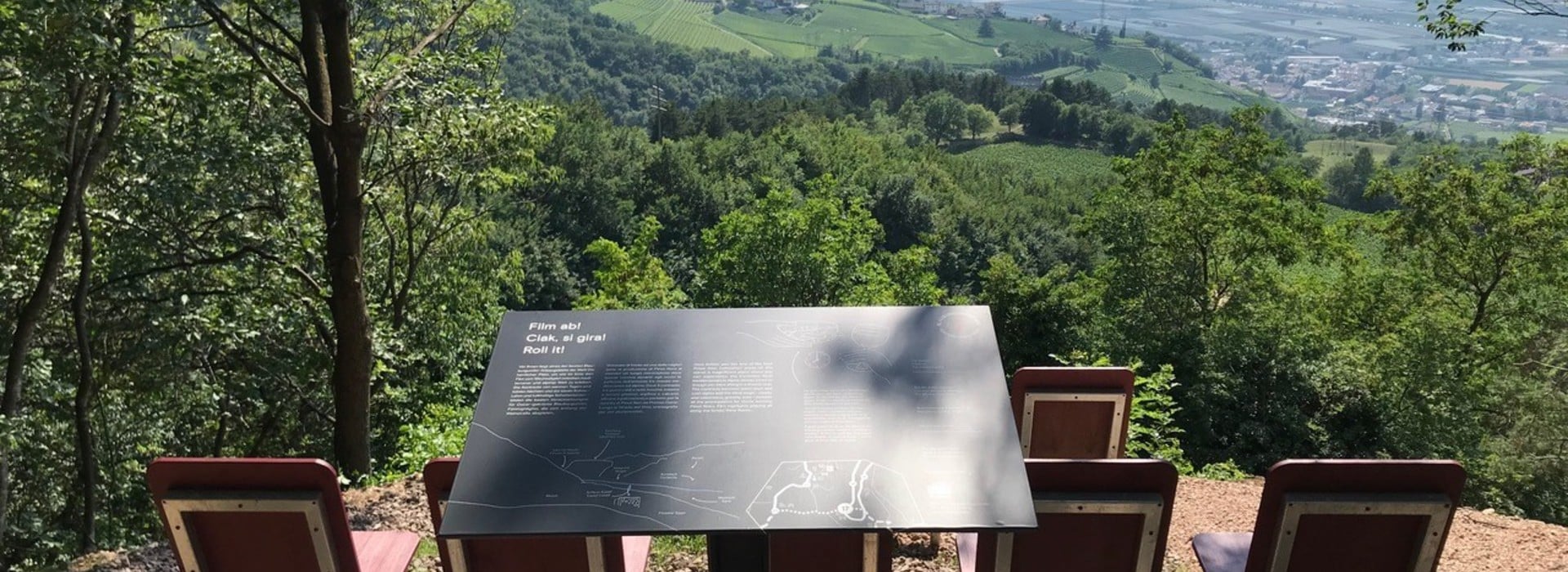 Il Sentiero del Pinot Nero