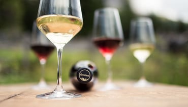 La capsula “Südtirol” (Alto Adige) - Florian Andergassen