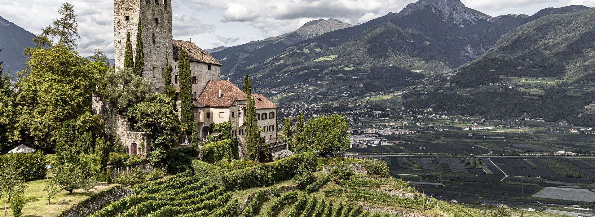 Comunicazione di avvenuta aggiudicazione della procedura di selezione dell’organismo di esecuzione del programma di informazione e promozione dei prodotti agricoli nei Paesi Terzi – Regolamento UE n. 1144/2014