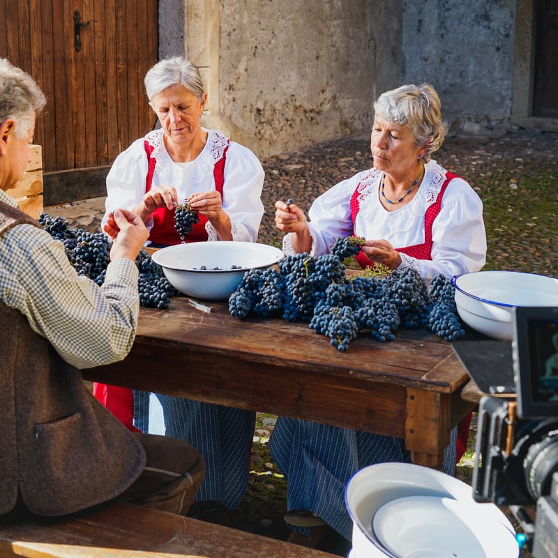 <b>Il successo dell’iniziativa</b>