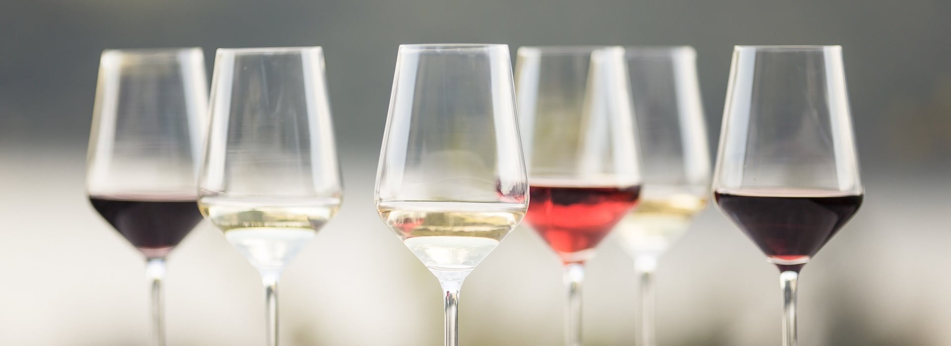 La varietà dei vigneti altoatesini