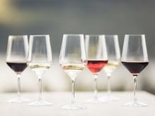 La varietà dei vigneti altoatesini