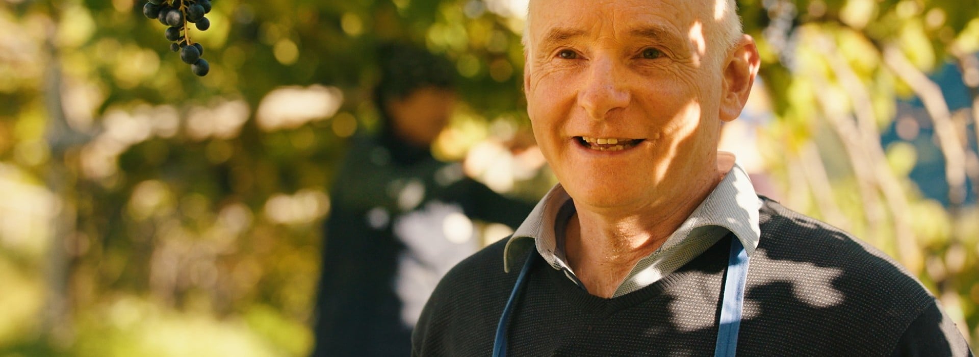 Undici generazioni di passione