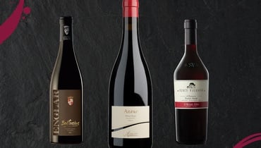 I Top 3 Pinot Neri d'Italia