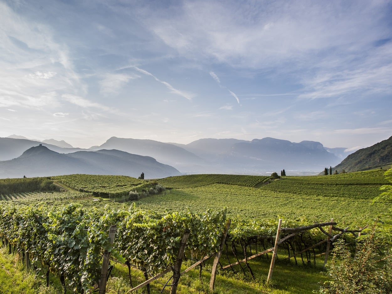 Il terroir dell’Alto Adige