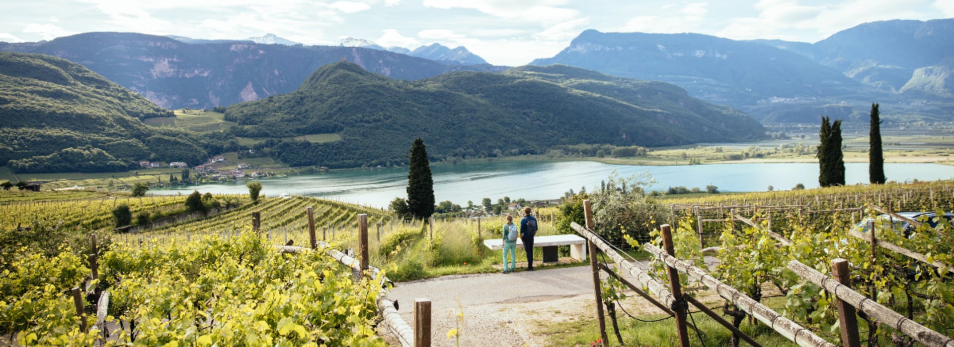 Passeggiata tra vigneti verdi con vista sul Lago di Caldaro e le colline circostanti.