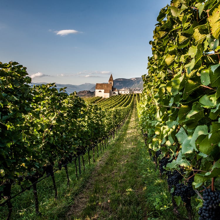 Riconoscimenti d’Italia