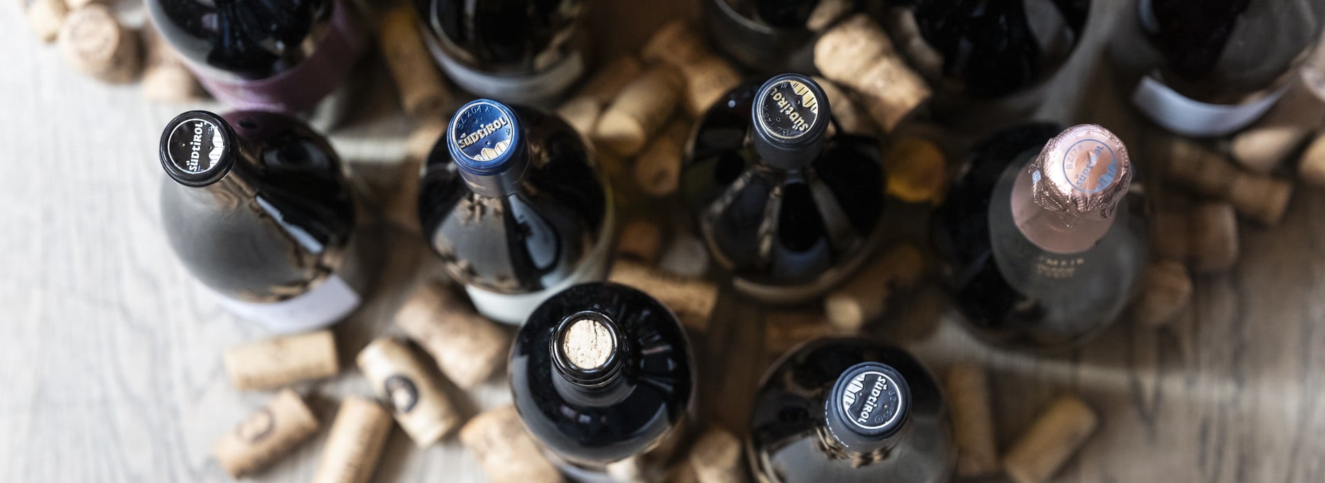 Annata 2023 - Vini Alto Adige