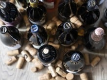 Annata 2023 - Vini Alto Adige