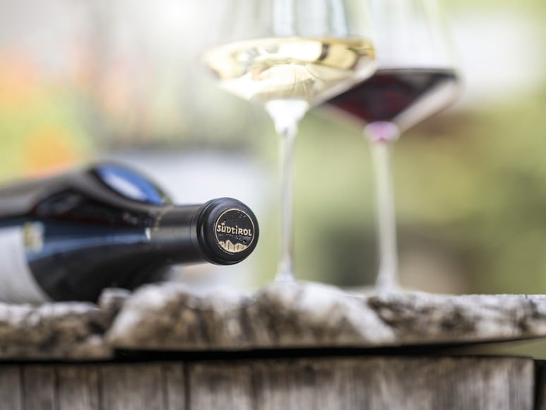 Annata 2023 - Vini Alto Adige