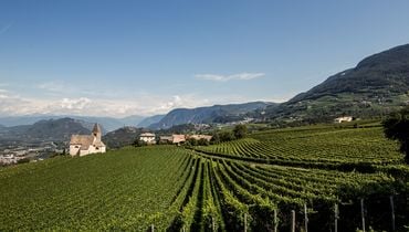 Le 86 Unità Geografiche Aggiuntive (UGA) dei vini Alto Adige DOC