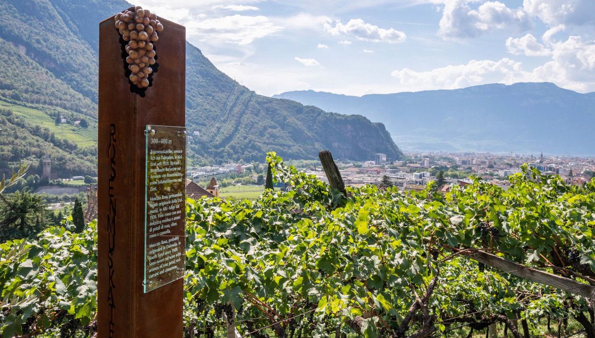 Sentiero del vino del Renon ©Associazione Turistica Renon_Foto Manuela Tessaro